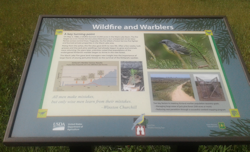 Jack Pine Trail Warbler Information Board
