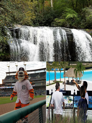 Compilation Photo Logo for Winner's Gallery Page