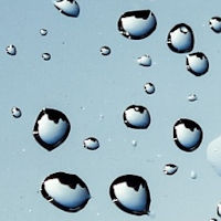 Image for the Spring Season