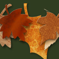 Image for the Fall  Season